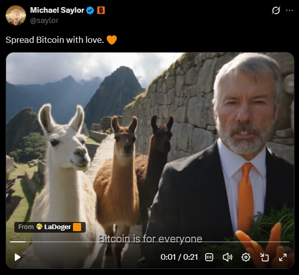 A tweet from Michael Saylor (@saylor) saying 'Spread Bitcoin with love. 🧡' featuring a video still with Michael Saylor, two llamas, and text reading 'Bitcoin is for everyone'.
