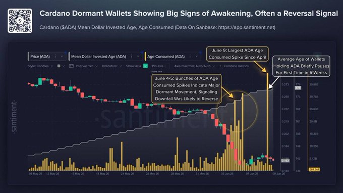 The image features an Excel chart depicting a sudden surge in the value of $ADA (Bitcoin Cash) as the main indicator. The Dormant Wallets, which are passive money invested in Bitcoin Cash over time, have started moving strongly, causing a significant increase in their ages and consuming more ADA than ever before. This suggests that smart money is waking up after months of silence and preparing to capitalize on the potential opportunities presented by this surge in cryptocurrency values. The post's caption indicates that these wallets are showing big signs of Awakening, possibly indicating an upcoming big move within the market.