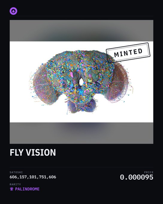 An NFT listing titled 'FLY VISION' showing a colorful 3D brain/neural network visualization marked 'MINTED', with Satoshi 606,157,101,751,606, Rarity PALINDROME, and Price 0.000095.