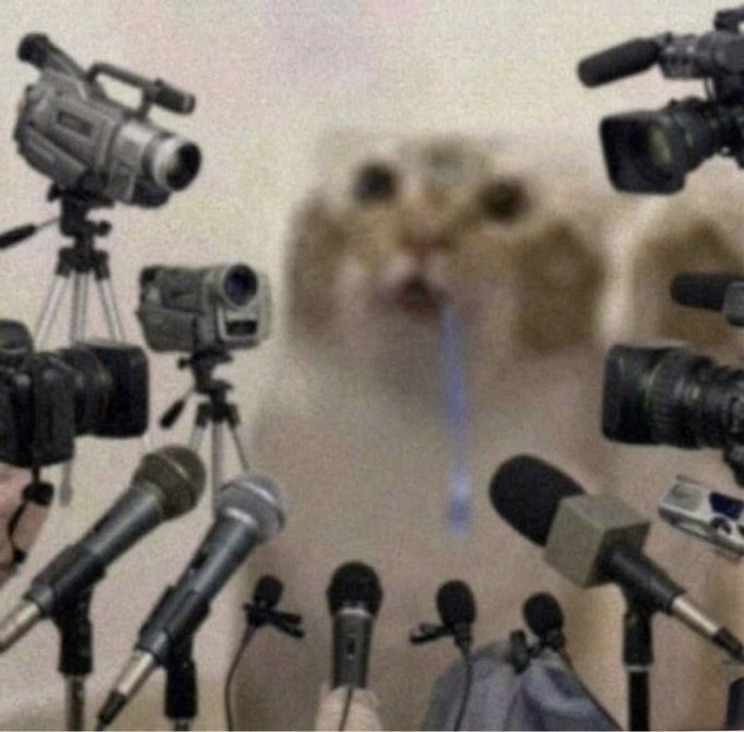 A meme showing a blurry cat in the center surrounded by various professional cameras, video cameras, and microphones pointed at it as if it were a celebrity under media scrutiny.