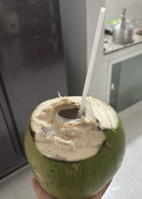 A freshly opened green young coconut held in someone's hand, with a white plastic straw inserted into the top, set against a kitchen background.