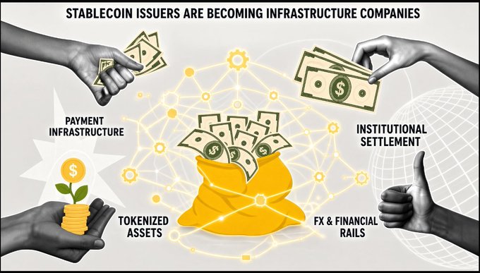 An infographic titled 'STABLECOIN ISSUERS ARE BECOMING INFRASTRUCTURE COMPANIES' showing hands exchanging money around a central bag of cash, with labels for 'PAYMENT INFRASTRUCTURE', 'TOKENIZED ASSETS', 'INSTITUTIONAL SETTLEMENT', and 'FX & FINANCIAL RAILS'.