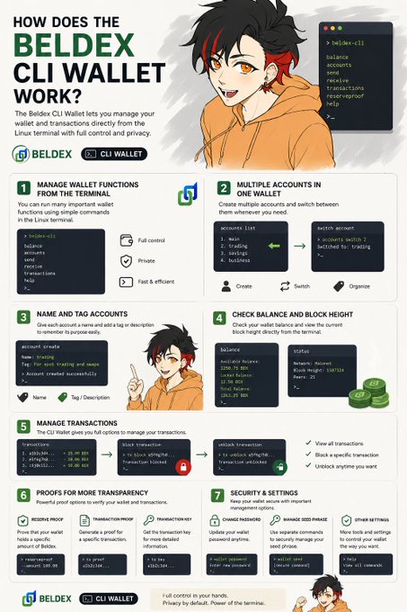 An infographic titled 'HOW DOES THE BELDEX CLI WALLET WORK?' features an anime-style character and details wallet functions in seven steps, including managing functions from the terminal, multiple accounts in one wallet, naming and tagging accounts, checking balance and block height, managing transactions, using proofs for transparency, and security settings.