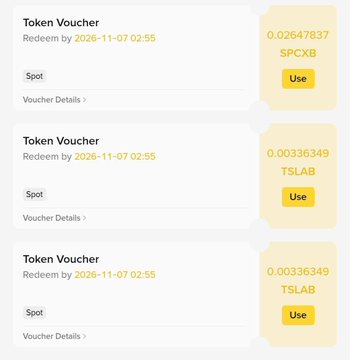 A screenshot shows three Binance Token Vouchers, including 0.00336349 TSLAB (twice) and 0.02647837 SPCXB, each redeemable as Spot with a "Use" button and expiring on 2026-11-07 at 02:55, corresponding to the user's claimed rewards from the Trade bStock campaign.