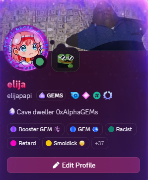 A Discord profile for the user 'elija' (elijapapi) displaying various custom roles and badges.