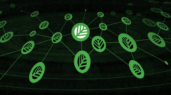A digital graphic showing interconnected green circular nodes with leaf icons linked by lines against a dark background, suggesting a sustainability or blockchain network.