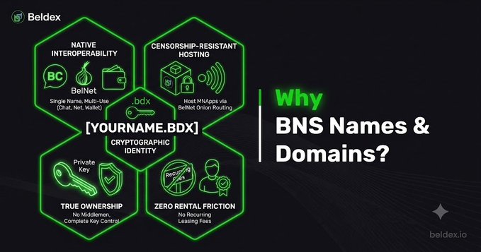 An informational graphic for Beldex titled 'Why BNS Names & Domains?', displaying a hexagonal diagram with features such as Native Interoperability, Censorship-Resistant Hosting, Cryptographic Identity, True Ownership, and Zero Rental Friction.