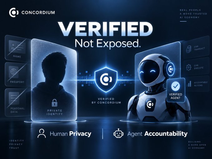 A Concordium promotional graphic displaying the tagline 'VERIFIED Not Exposed' alongside imagery emphasizing 'Human Privacy' and 'Agent Accountability' through a human silhouette and a robot.