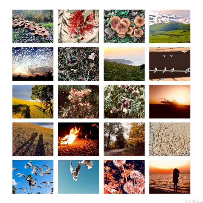 A 4x4 grid collage of 20 nature photographs featuring landscapes, sunsets, mushrooms, flowers, birds in flight, and a campfire, with '23' and 'Pho' visible as a watermark in the bottom right corner.