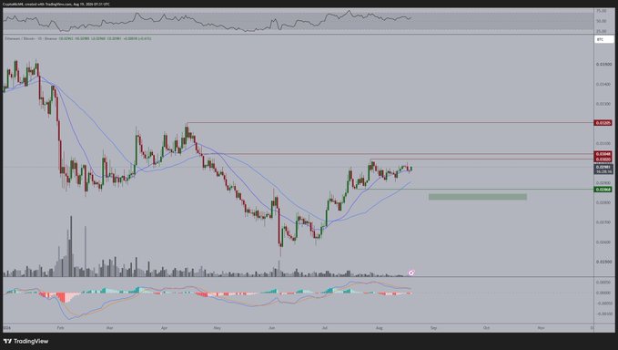 A TradingView daily candlestick chart of ETH/BTC showing a recovery rally off recent lows, with the price approaching key resistance near the 0.03205 level marked by a red horizontal line, alongside moving averages and an MACD indicator below.