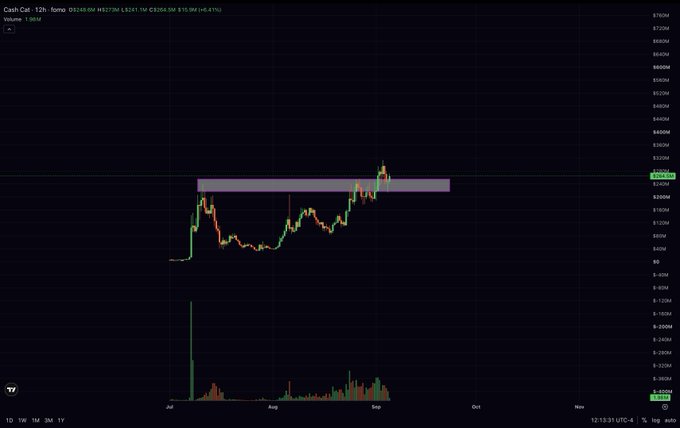 The image is a TradingView candlestick chart for "Cash Cat" token (ticker symbol, displayed as CASHCAT) on a 12-hour timeframe, showing price action oscillating around the $20,000–$23,000 range from July through September, with the post noting "$CASHCAT on FOMO looking good here" in reference to the token's recent upward momentum and apparent bullish consolidation within the highlighted purple support/resistance zone.