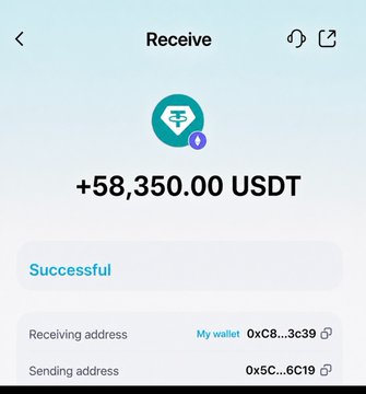 Cryptocurrency wallet screenshot showing a successful USDT receive transaction of '+58,350.00 USDT' with truncated wallet addresses.