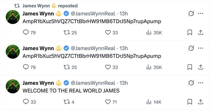 In this image, a Twitter post from an account named "James Wynn Rugs" was reposted by three other users, including one who tweeted about James Wynn Reals 13h. The post shows that James Wynn Reals has been officially accepted into the Real for $260 token system launched by the platform, and he has already made 3.2 SOL worth around $260. The image also contains a caption with a hashtag #crazypowered by @LookOnchain which likely refers to the creator of this post.