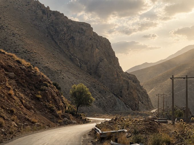A rugged mountain road winds through a rocky, arid landscape during sunset, with a single green tree clinging to the steep cliffside and utility poles lining the right side of the road.