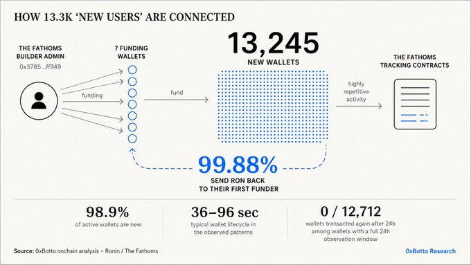 An infographic titled "HOW 13.3K 'NEW USERS' ARE CONNECTED" showing 13,245 new wallets, with 99.88% sending RON back to their first funder, indicating a Sybil attack pattern from 0xBotto Research.
