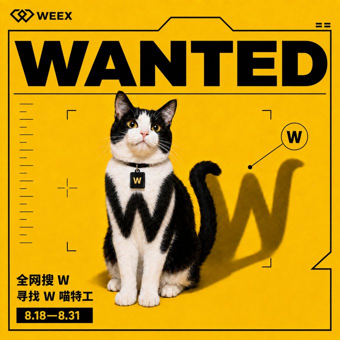 A 'WANTED' poster design with a yellow background featuring a black and white cat wearing a 'W' tag, branded with WEEX logo and Chinese text '全网搜W 寻找W喵特工 8.18—8.31'.