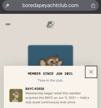 The image shows a screenshot of an email posted by someone named "BoredApeYachtClub" on an online platform, sharing their thoughts about BAYC's anniversary. The email appears to be from a club member who is excitedly updating the members about the club's history and upcoming event. The content focuses on BAYC since June 11, 2021, where the club has been active for almost five years.