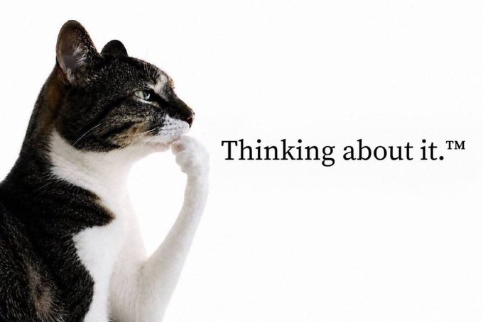 A humorous image showing a tabby and white cat in a contemplative pose with its paw to its chin, captioned 'Thinking about it.™'