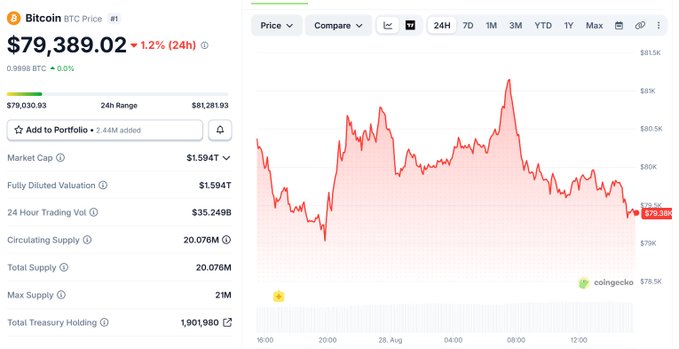 A Bitcoin price chart from CoinGecko showing BTC priced at $79,389.02 with a 1.2% (24h) change and various market metrics including a $1.594T market cap.