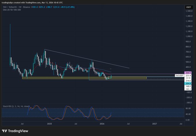 A TradingView weekly chart for TAO/USDT on Binance shows a downtrend with prices around $233.4, dated March 13, 2024.