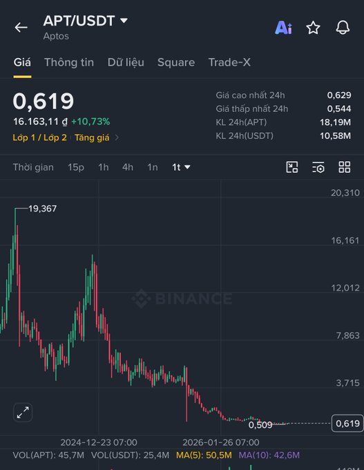 A Binance mobile app screenshot showing the APT/USDT (Aptos) trading pair priced at 0.619, displaying a 24-hour price chart with a +10.73% gain and a candlestick graph trending downwards from a high of 19.367.