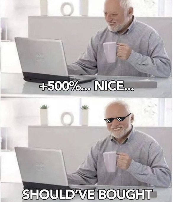 A two-panel meme shows a senior man smiling at a laptop with a coffee mug, first captioned "+500%... NICE..." and then with pixelated "deal with it" sunglasses added, captioned "SHOULD'VE BOUGHT," referencing a humorous regret over a missed investment opportunity.