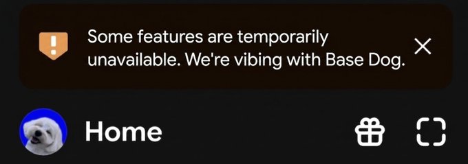 A mobile app interface displaying a warning message 'Some features are temporarily unavailable. We're vibing with Base Dog.' above a 'Home' navigation button with a white dog profile icon.