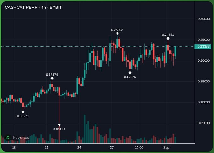 A 4-hour candlestick chart of CASHCAT PERP on Bybit shows the token's price action ranging from a low of 0.05121 to a recent high of 0.24751, currently trading around 0.23383 and pushing back toward its all-time high of 0.25928—visually supporting the claim that CASHCAT is once again retesting ATH territory after recovering from earlier lows like 0.08271 and 0.15174.