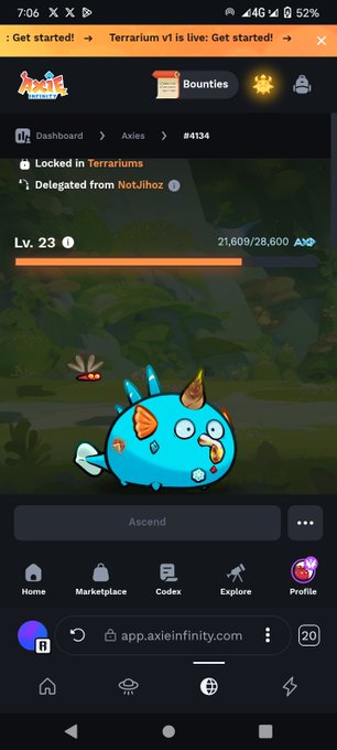 Screenshot of the Axie Infinity game interface showing an Axie creature (Axie #4134) at Level 23 with 21,609/28,600 AXp, locked in Terrariums and delegated from NotJihoz.