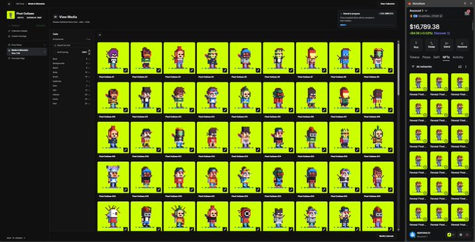 A marketplace interface called 'Pixel Pals' showing a grid of collectible pixel art character NFTs with various attributes, priced at 7.85 each, totaling $16,789.38.