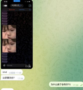 A screenshot of a chat conversation with stickers showing repeated questions, including Chinese text "这是萱允你？" (Is this Xuan Yun?) and "为什么恩子会有你TG" (Why does Enzi have your TG?), with a timestamp of 17:38.