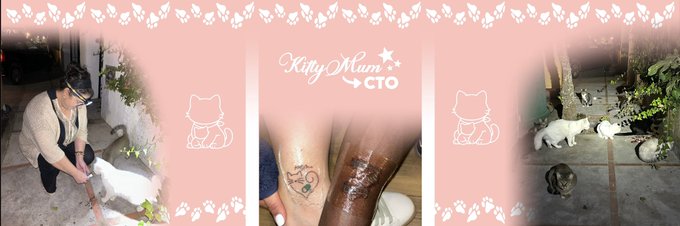 A pink-bordered collage labeled 'KittyMum CTO' shows photos of white cats being fed, a hand-drawn heart tattoo on a foot, and cats in an outdoor area.