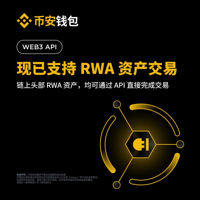 A black promotional graphic for Binance Wallet featuring its gold logo and "币安钱包" branding, announcing that the "WEB3 API" now supports RWA asset trading ("现已支持 RWA 资产交易"), with subtext noting top on-chain RWA assets can be traded directly via API, accompanied by a glowing hexagonal circuit-style icon.