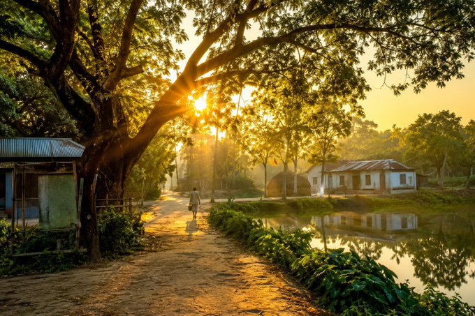 A serene, sunlit landscape photograph featuring a dirt path lined with large trees, where a lone person walks toward the glowing sunset, flanked by a small pond and rural buildings.