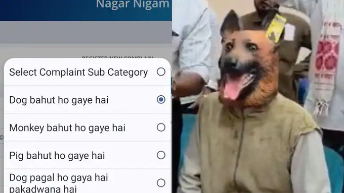A meme featuring a complaint menu for "Nagar Nigam" with options like "Dog bahut ho gaye hai" and "Monkey bahut ho gaye hai," overlaid on a man wearing a dog mask.