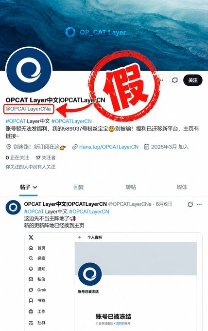 A social media profile for 'OPCAT Layer中文|OPCATLayerCN' (@OPCATLayerCNa) is shown with a large red stamp marking it as fake (假), and a notification that the account is frozen.
