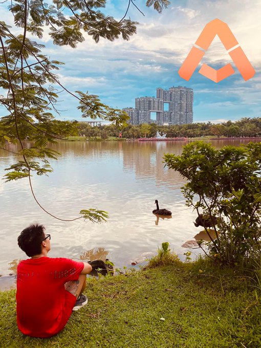 A young person in a red shirt sits by a lake with two black swans swimming nearby, with city high-rise buildings visible in the background and an orange logo overlay.