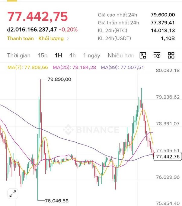 Binance cryptocurrency chart showing a price of '77.442,75' with a -0.20% change, 24h high of 79.600,00 and low of 77.379,41.