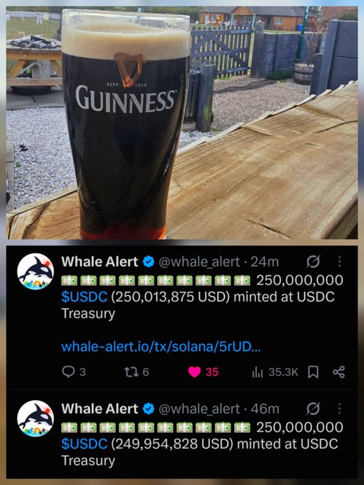 A pint of Guinness beer on a wooden outdoor table with two Whale Alert tweets showing 250,000,000 USDC minted at USDC Treasury transactions.