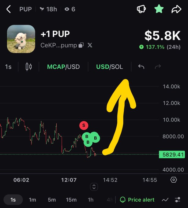 A mobile trading chart for the meme coin $PUP (CeKPQBp2uHbKFFXfvMDp9QYUoA6PFeRQpuPW1uJApump) shows a recent dip with multiple "B" buy markers followed by a sharp rebound to $5.8K (a +137.1% 24h gain), reinforcing the post's call to "buy the dip" with expectations of a 3-4x move.