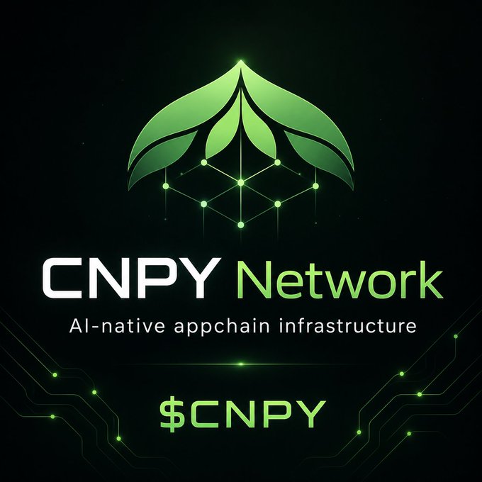 The image features a logo for CNPY Network, which is an appchain infrastructure company. The logo consists of a green leaf design with a geometric pattern inside it. Below the logo, there's text that reads "CNPY Network" followed by "$cnpy". This suggests that the company offers a service related to appchains and blockchain technology.