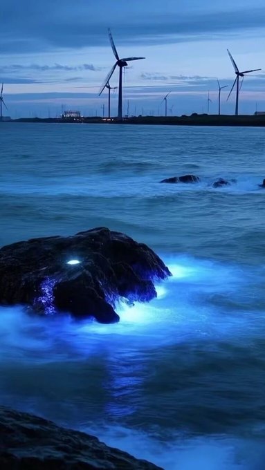 A nighttime coastal scene featuring offshore wind turbines on the horizon, with bioluminescent waves glowing electric blue as they crash against dark rocks in the foreground.