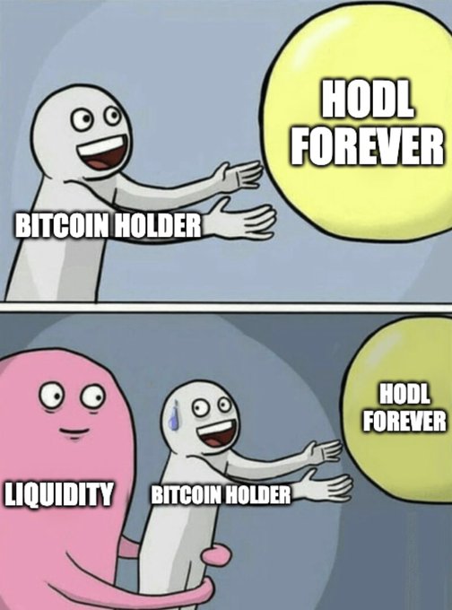 A two-panel meme shows a "Bitcoin Holder" reaching for a "HODL FOREVER" balloon alone in the top frame, then nervously being embraced from behind by a "Liquidity" character also reaching for the same balloon in the bottom. The image humorously illustrates the post's point that liquidity can coexist with a Bitcoin holder's commitment to never selling.