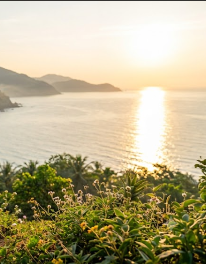 A serene coastal sunset viewed from a lush, elevated vantage point, with golden sunlight reflecting across calm ocean waters and silhouetted mountains in the distance, framed by green foliage and wildflowers in the foreground.

The image evokes a peaceful morning ambiance that complements the post's warm greeting ("Good morning Wednesday ☀️"), suggesting a tranquil start to the trading day with coffee, charts, and market opportunities.