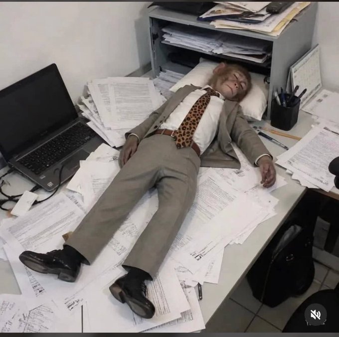 A humorous meme shows a small monkey dressed in a full business suit with tie, lying exhausted across an office desk covered in paperwork.
