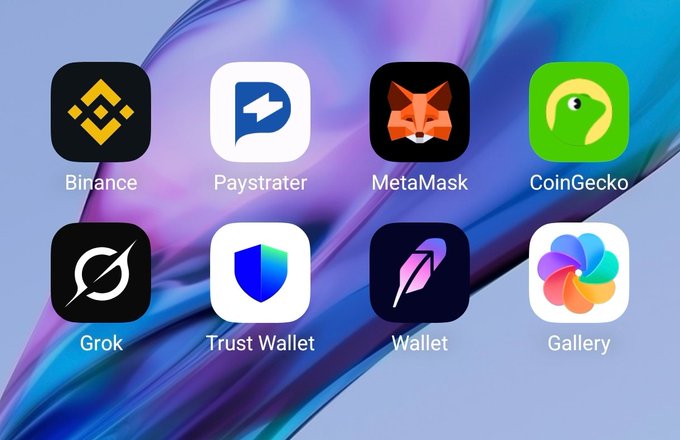 The image displays a smartphone home screen featuring eight app icons, including Binance, Paystrater, MetaMask, CoinGecko, Grok, Trust Wallet, Wallet, and Gallery, set against a blue and purple abstract wallpaper. The selection of apps highlights Paystrater alongside well-known crypto and finance platforms, likely to showcase its relevance in the crypto wallet ecosystem.