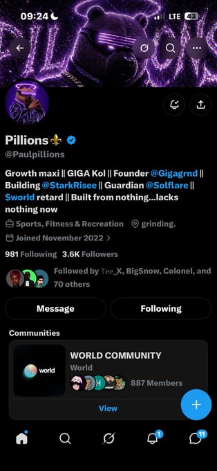 A Twitter/X profile page for 'Pillions' (@Paulpillions) with a purple neon bear banner, a verified account showing 3.6K Followers and 981 Following, listed as Co-Founder of GIGA Kol, Founder of Gigagrnd, and involved with StarkRisee, SolFlare, and $world.