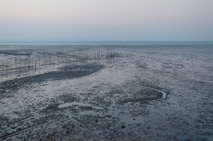 A desolate, muddy landscape with patches of water under an overcast sky, featuring some thin poles or fencing in the distance.