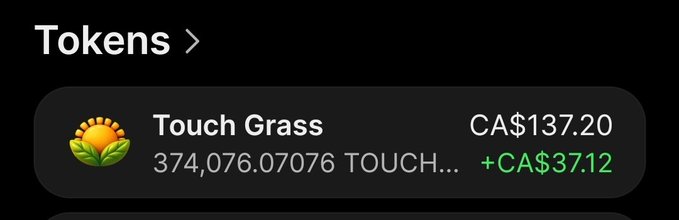 A crypto app interface displaying a token called 'Touch Grass' with 374,076.07076 tokens, valued at CA$137.20, showing a gain of +CA$37.12.