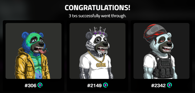 A 'CONGRATULATIONS' screen showing 3 successful NFT transactions featuring bear-themed digital collectibles numbered #306, #2149, and #2342.